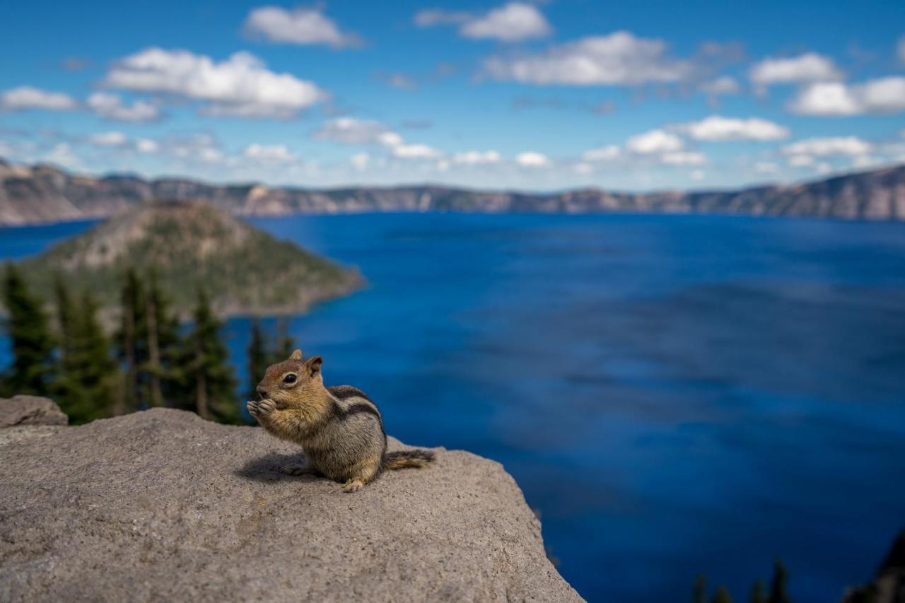Crater Lake Resort Fort Klamath Eksteriør billede